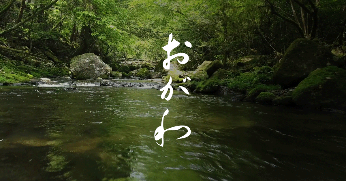Ogawa